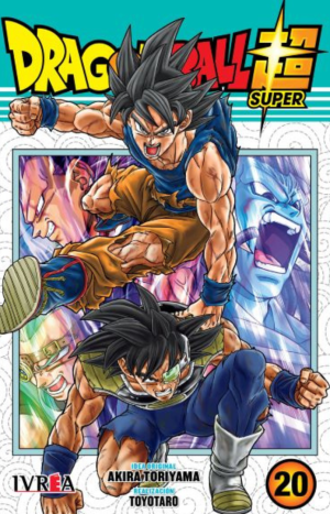 Dragon Ball Super Vol. 20 - Ivrea Argentina