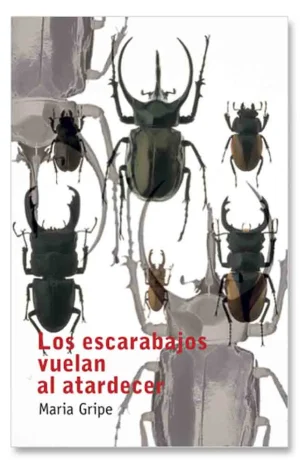 Los escarabajos vuelan al atardecer - SM