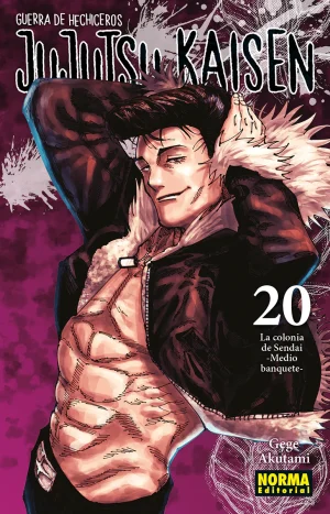 Jujutsu Kaisen #20 (norma Editorial)