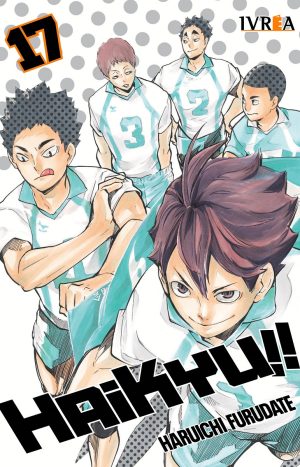 Haikyu!! 17