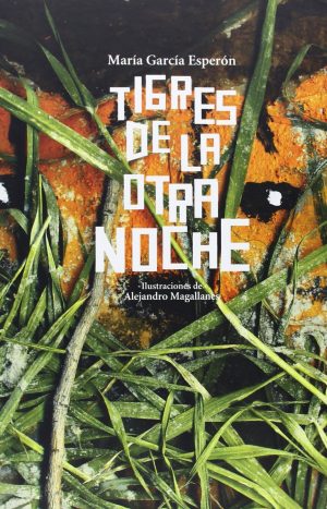 Tigres De La Otra Noche