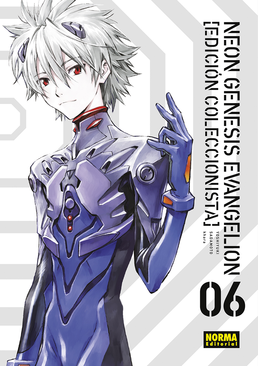 Neon Genesis Evangelion #6 (edición Coleccionista)