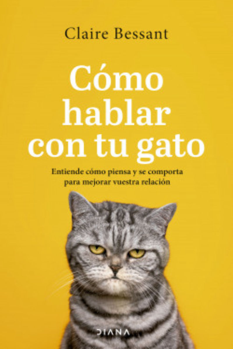 Como Hablar Con Tu Gato