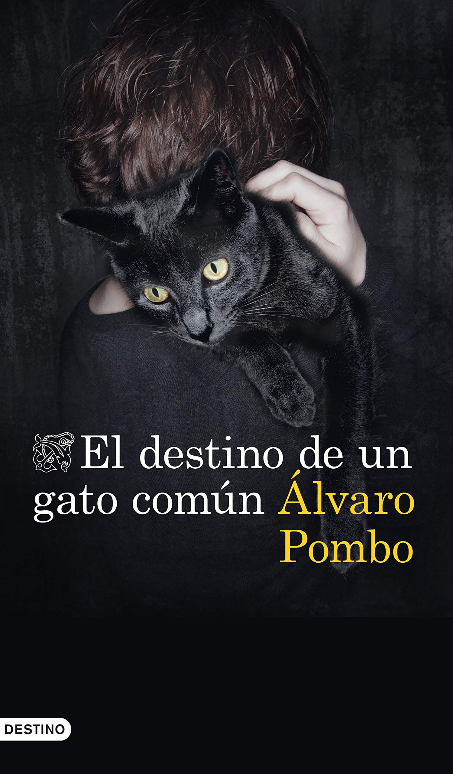 El destino de un gato común
