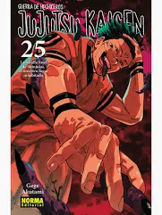 Jujutsu Kaisen 25